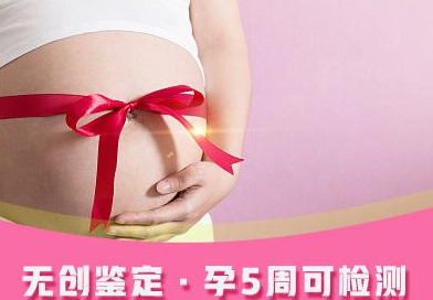 淮安怀孕5个月需要怎么办理无创孕期亲子鉴定,在淮安做无创怀孕亲子鉴定办理费用